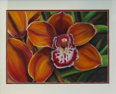 Orchid- Artist Julie Senko