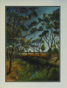 Waurn Ponds Creek - Artist Julie Senko