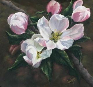 Apple Blossom