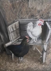 Hanging out in the Shed