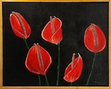 Anthurium Flamingo- Artist Maxine Dellar