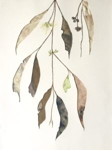 Hidden Colours