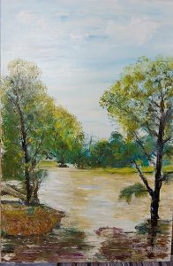 Silvana dam floods 90x60
